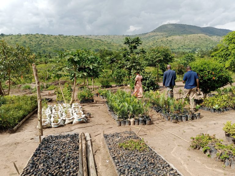 Collaboration with Caritas Fort Portal