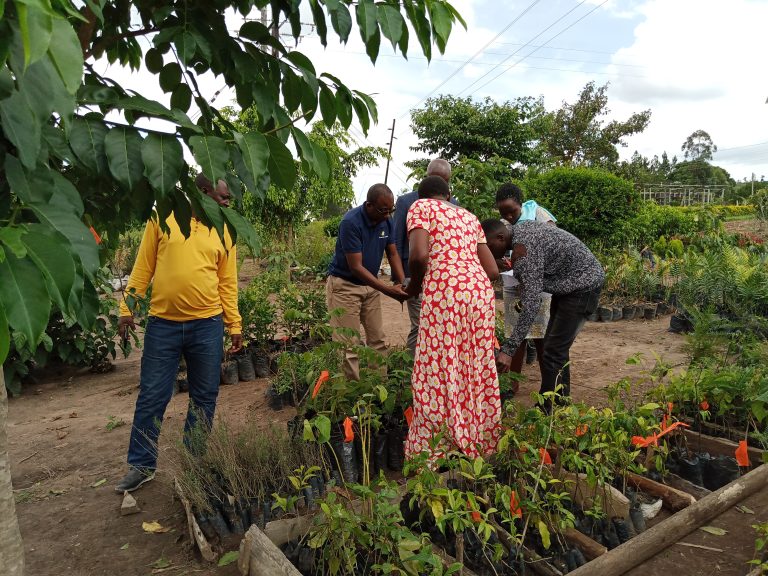 Promoting coexistence between humans and plant biodiversity